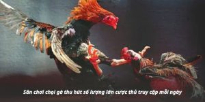 Đá Gà Trực Tuyến
