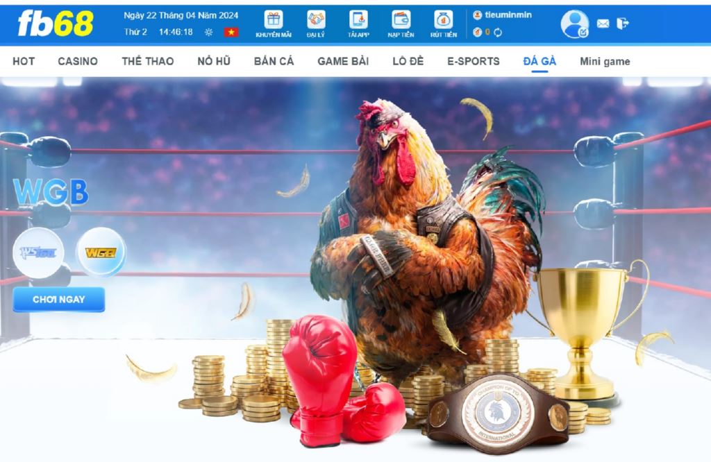 Đá gà Fb68 mang đến cho các thành viên những trải nghiệm hấp dẫn